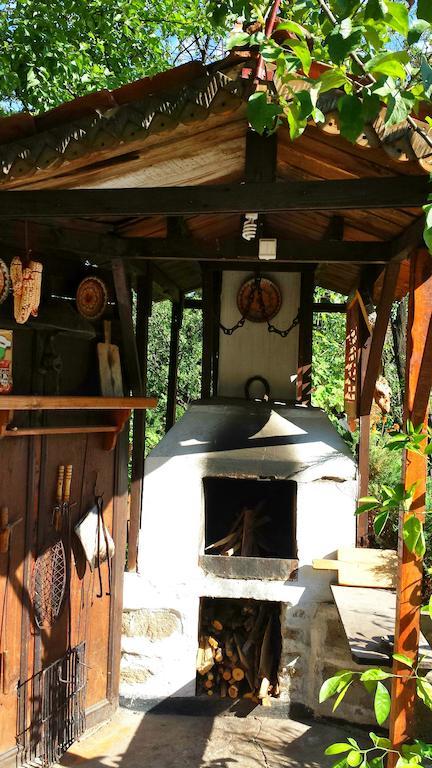 Mechta Guest House コプリフシティツァ エクステリア 写真